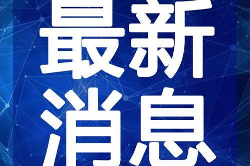 兴丽城最新爆料新闻视频,揭秘神秘项目背后的惊人真相